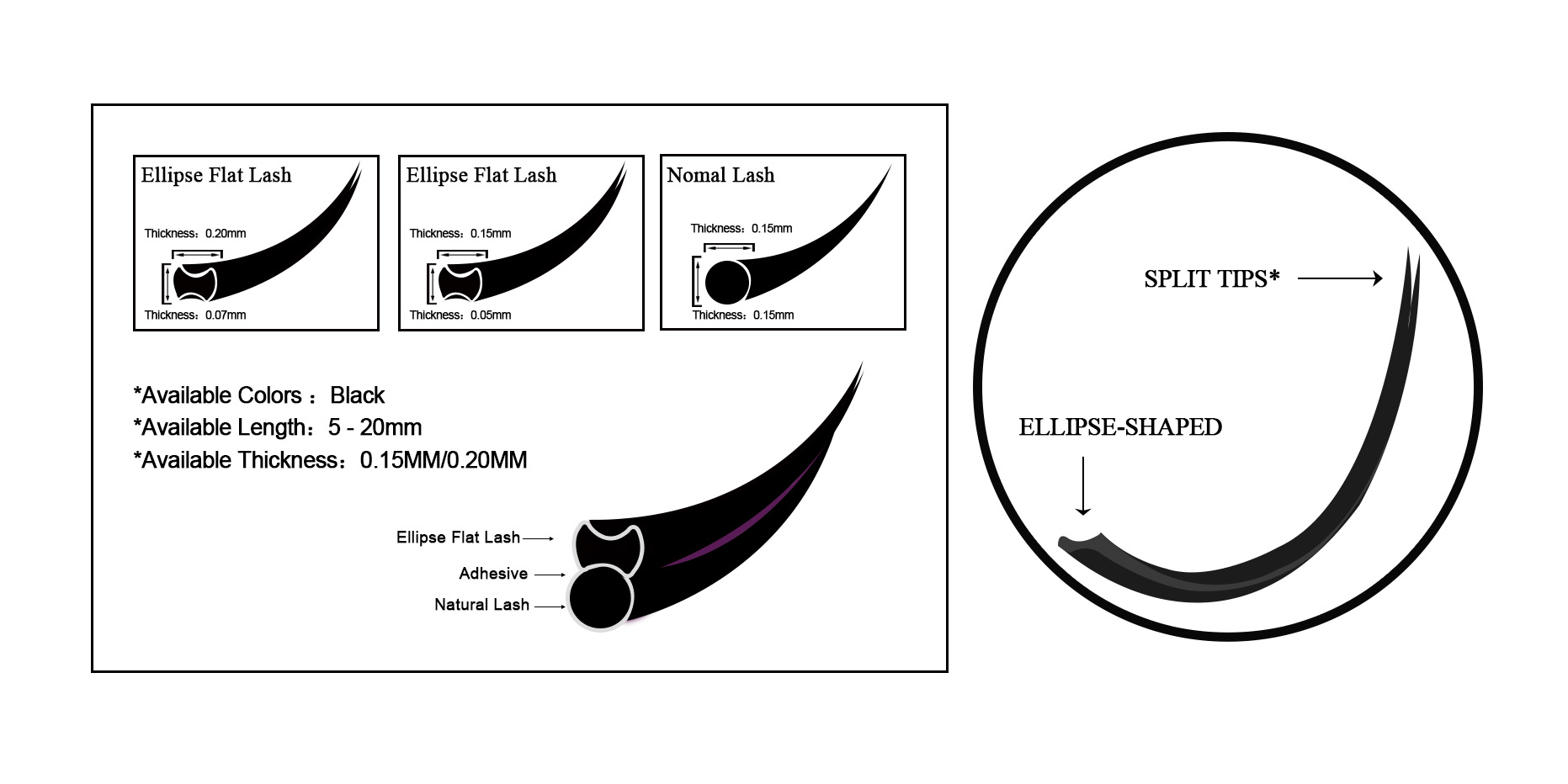 The Difference between classic lashes and flat lashes